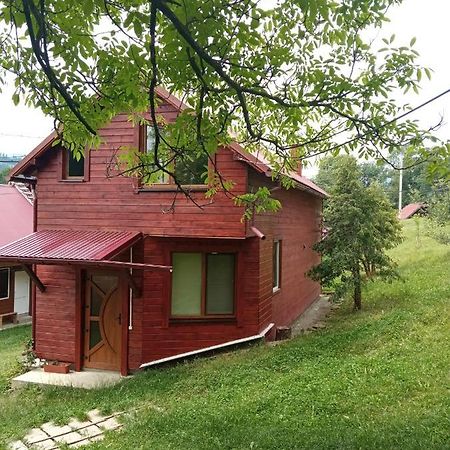 Котедж "Барвінок" Verkhovyna Ngoại thất bức ảnh
