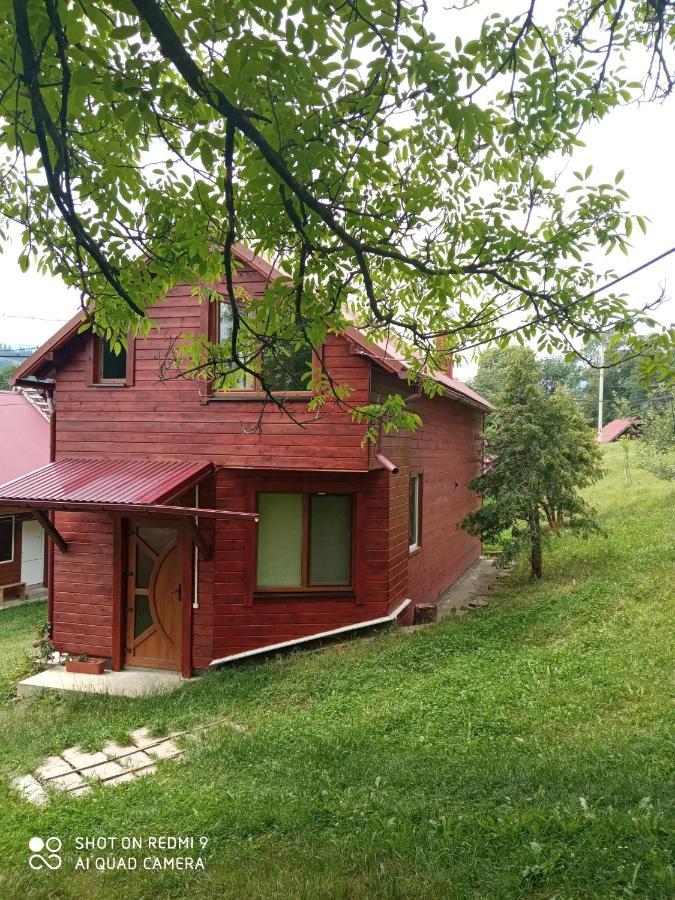 Котедж "Барвінок" Verkhovyna Ngoại thất bức ảnh