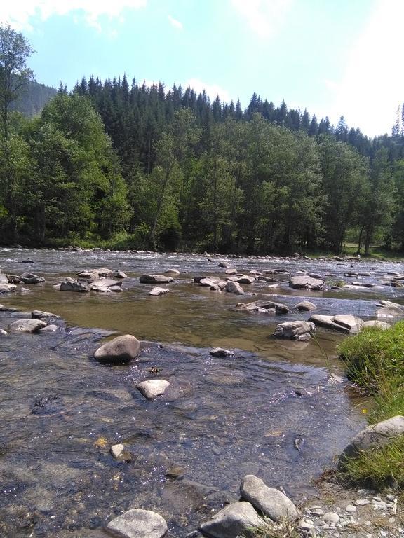 Котедж "Барвінок" Verkhovyna Ngoại thất bức ảnh