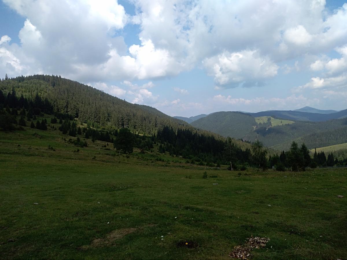 Котедж "Барвінок" Verkhovyna Ngoại thất bức ảnh